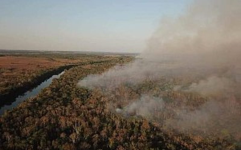 20mar24-D-stf-queimadas