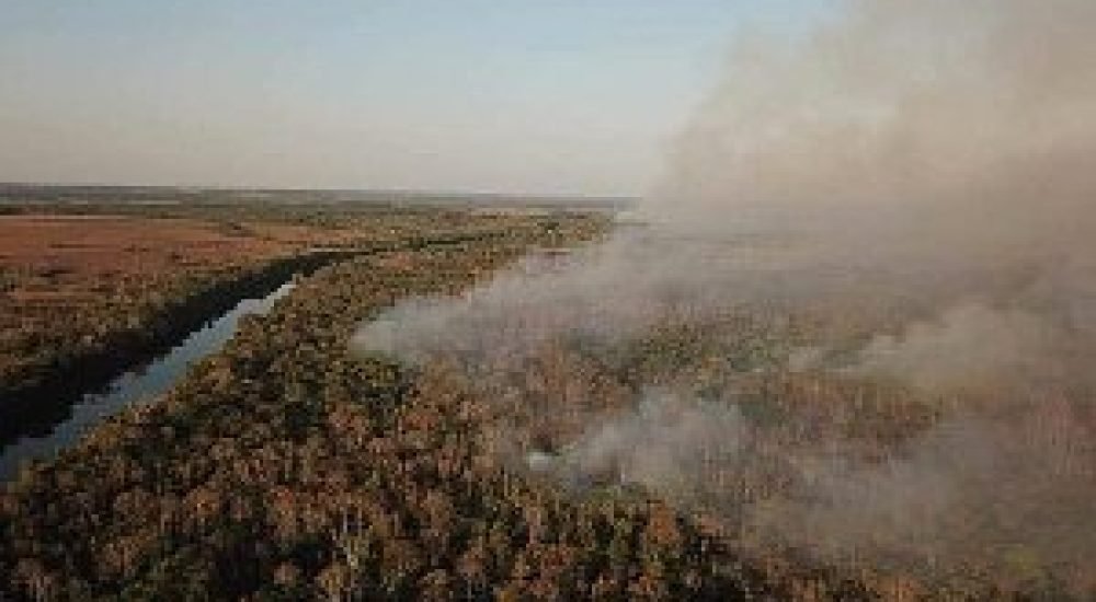 20mar24-D-stf-queimadas