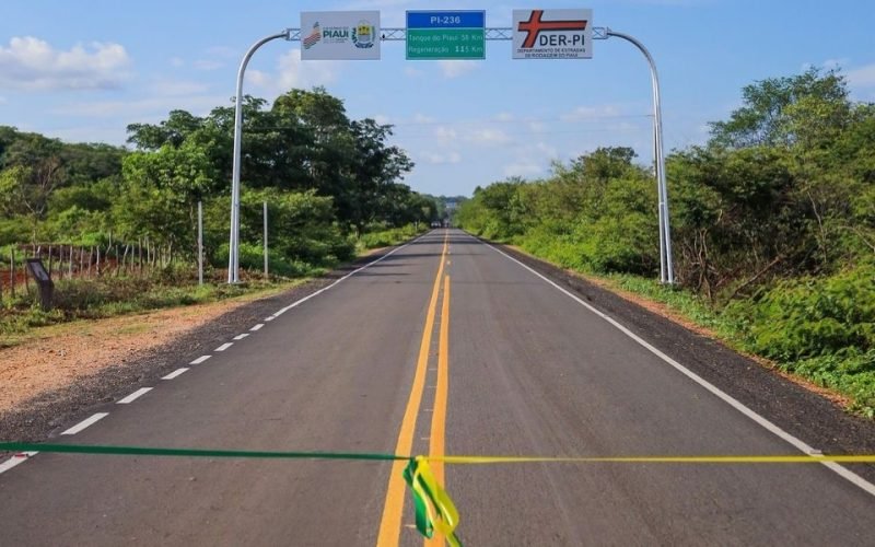 22NOV25 DM PI ESTRADAS